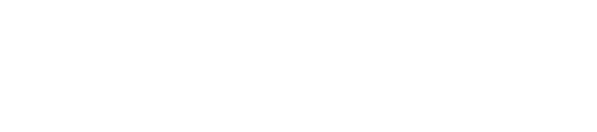 Synergy Safety Group